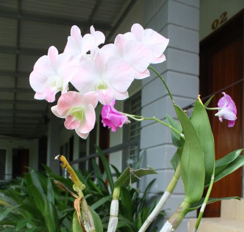 My Parents Guesthouse Кампот Экстерьер фото